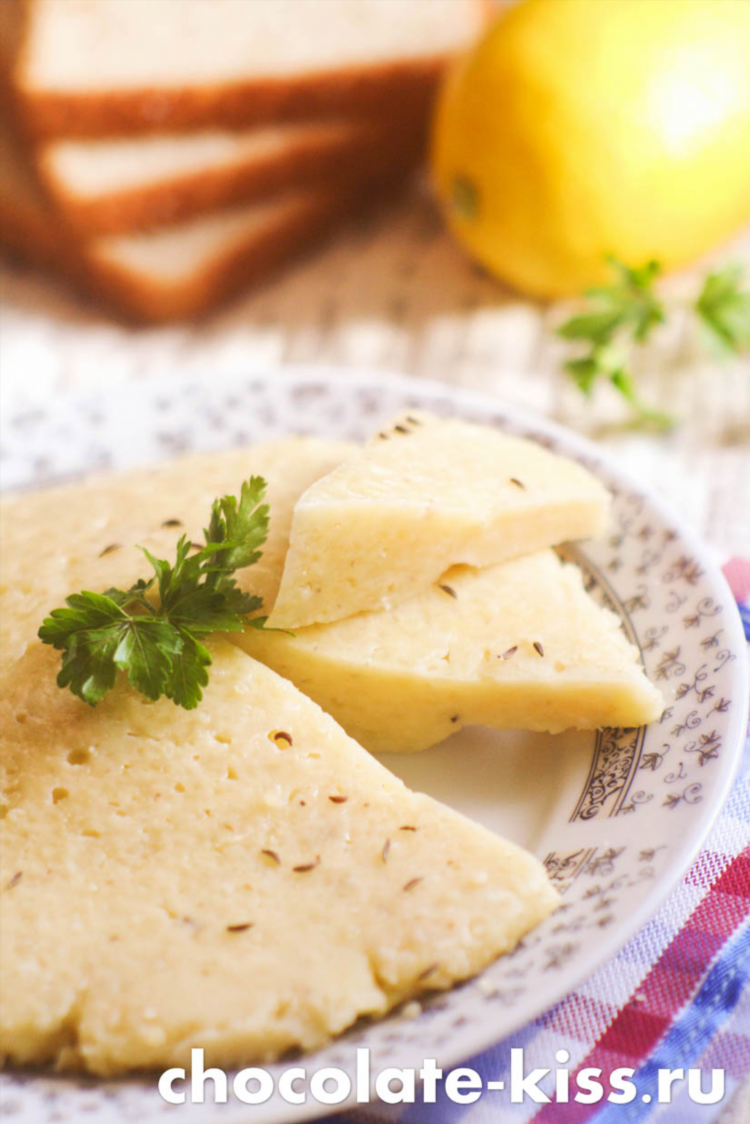 Домашний сыр своими руками