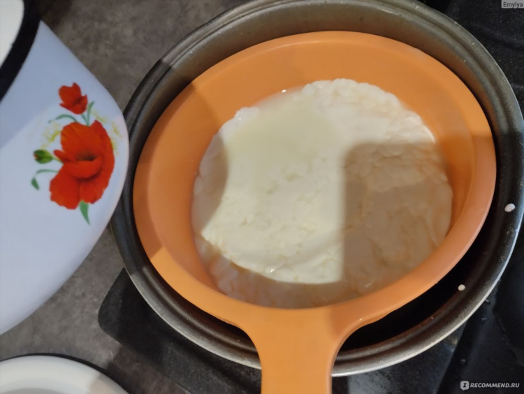 Сделать сыр из молока в домашних условиях