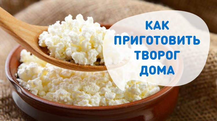 Сыр из кислого творога в домашних условиях